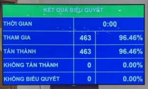 Bầu chủ nhiệm một số ủy ban của Quốc hội, Tổng Thư ký Quốc hội, Tổng Kiểm toán Nhà nước