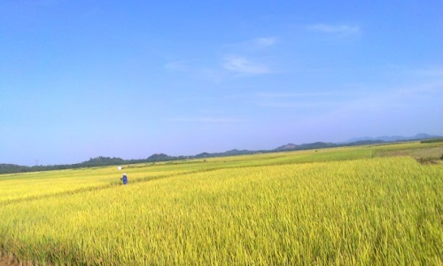 Về quê hương đồng chí Trần Phú