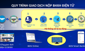 Người dân và doanh nghiệp có thêm kênh tiện ích đóng, nộp BHXH, BHYT trên Cổng giao dịch điện tử của BHXH Việt Nam