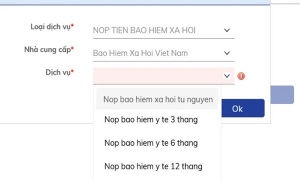 BHXH Việt Nam và Ngân hàng BIDV phối hợp triển khai nộp tiền gia hạn thẻ BHYT, đóng tiếp tiền BHXH tự nguyện trực tuyến