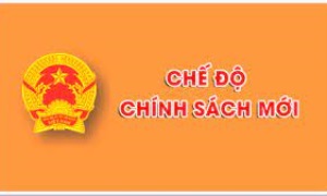 Sửa đổi quy định về thẩm định, phê chuẩn kết quả bầu chủ tịch, phó chủ tịch UBND