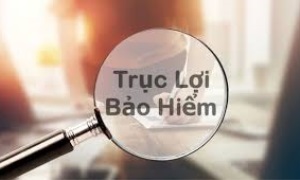 Hệ thống Thông tin Giám định BHYT của BHXH Việt Nam liên tục cảnh báo các trường hợp đi KCB nhiều lần có dấu hiệu trục lợi quỹ BHYT