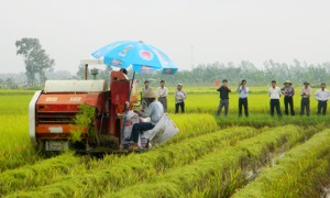 Nâng cao chất lượng đội ngũ bí thư đảng uỷ xã ở huyện Mê Linh