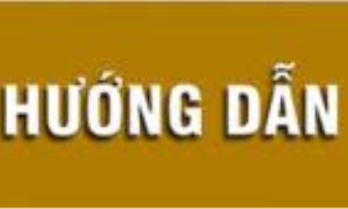Hướng dẫn một số vấn đề về nâng cao chất lượng sinh hoạt chi bộ